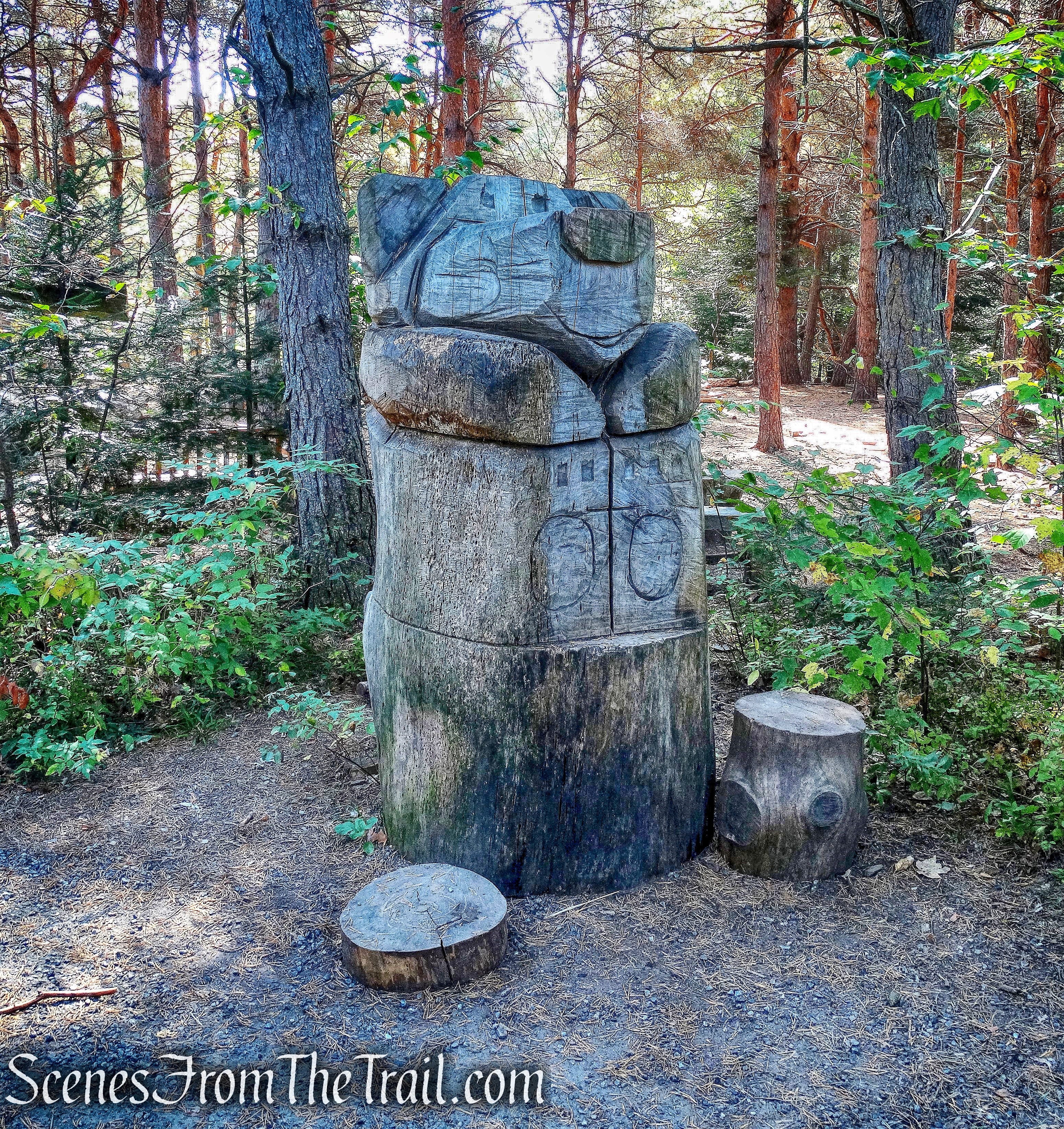 Pines Wild Play Area