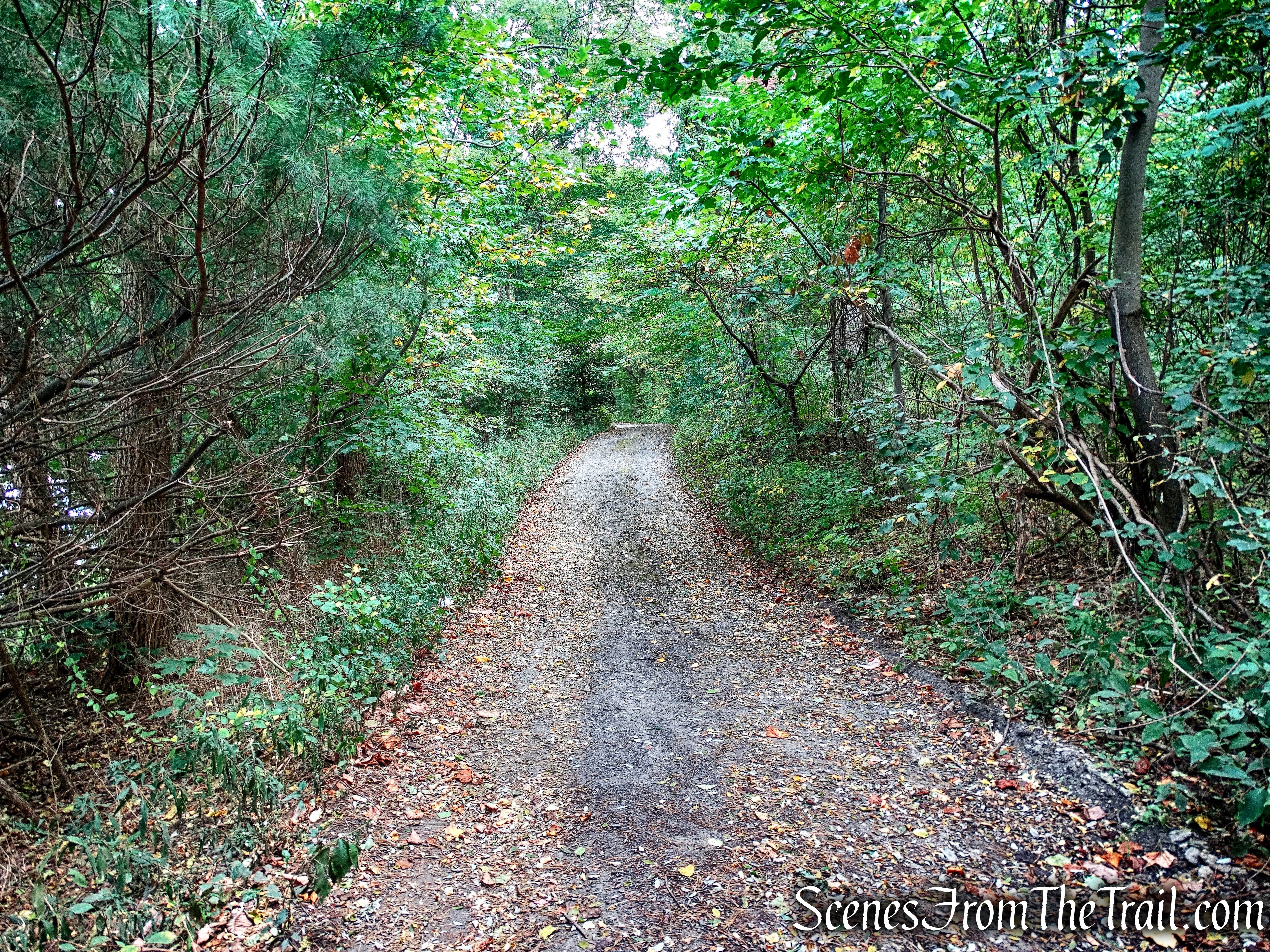 Rockefeller State Park Preserve