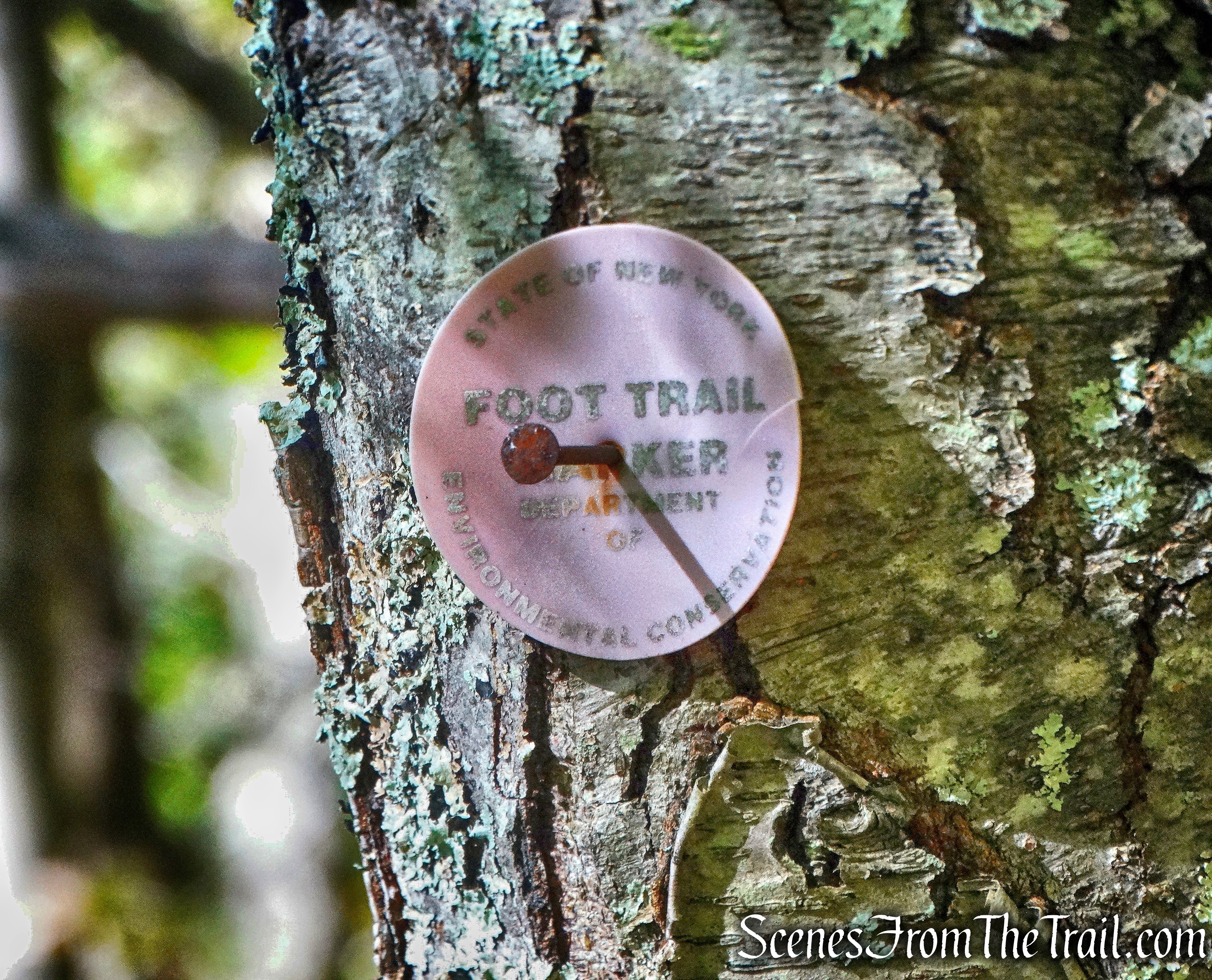 faded red blaze - Bouchoux Trail