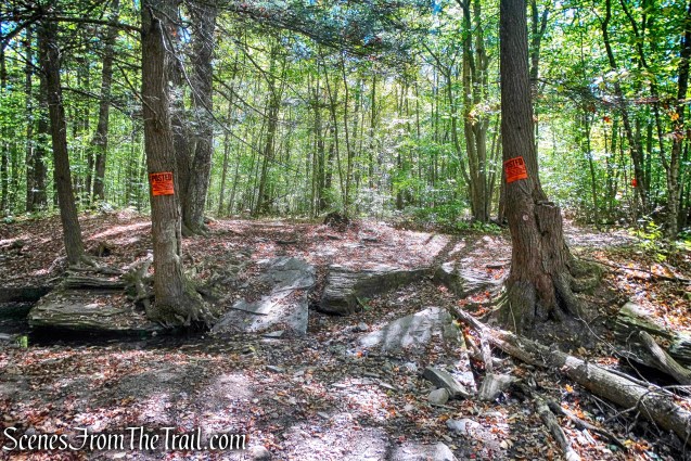 stream crossing - Bouchoux Trail