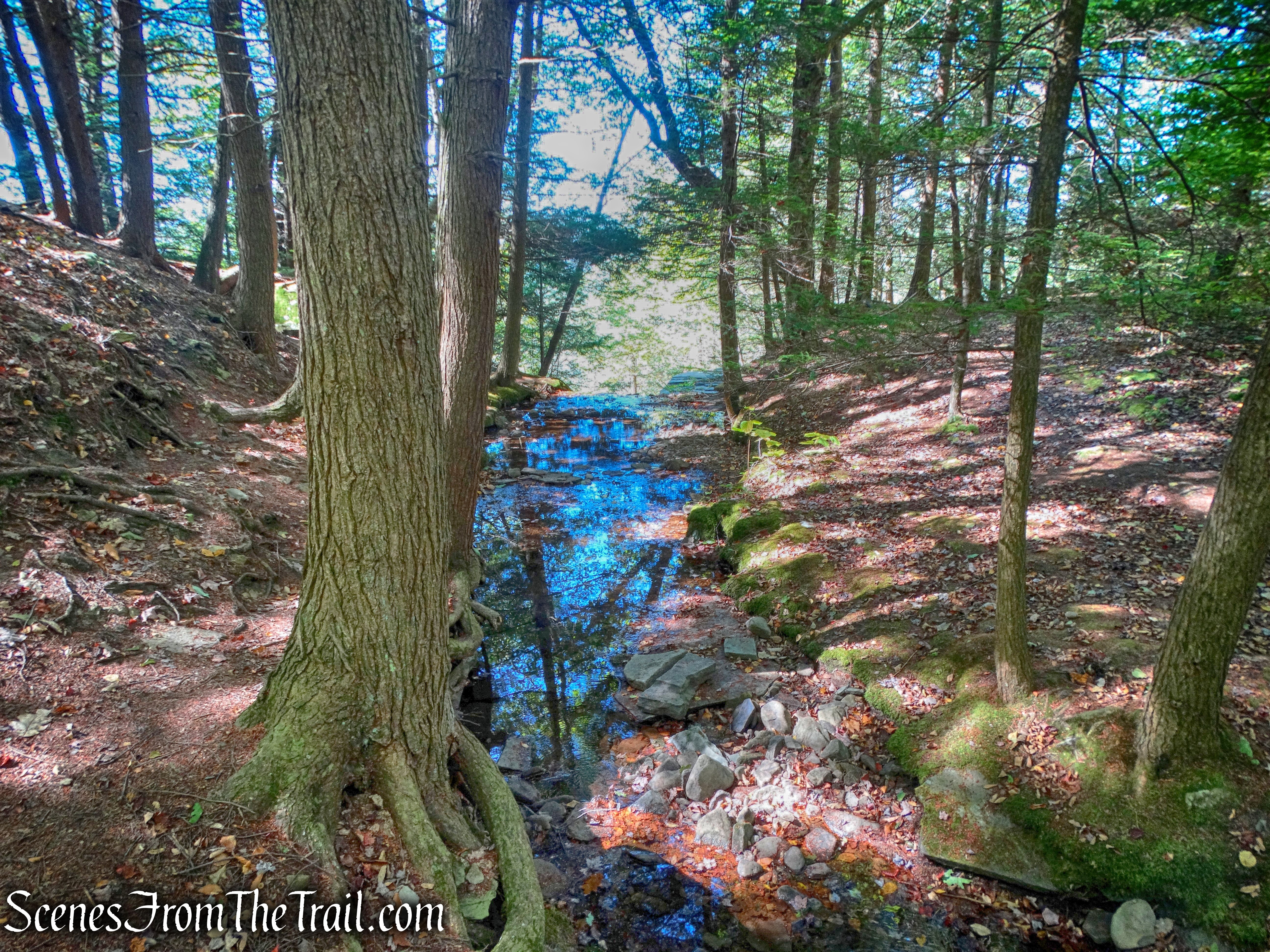 stream crossing - Bouchoux Trail