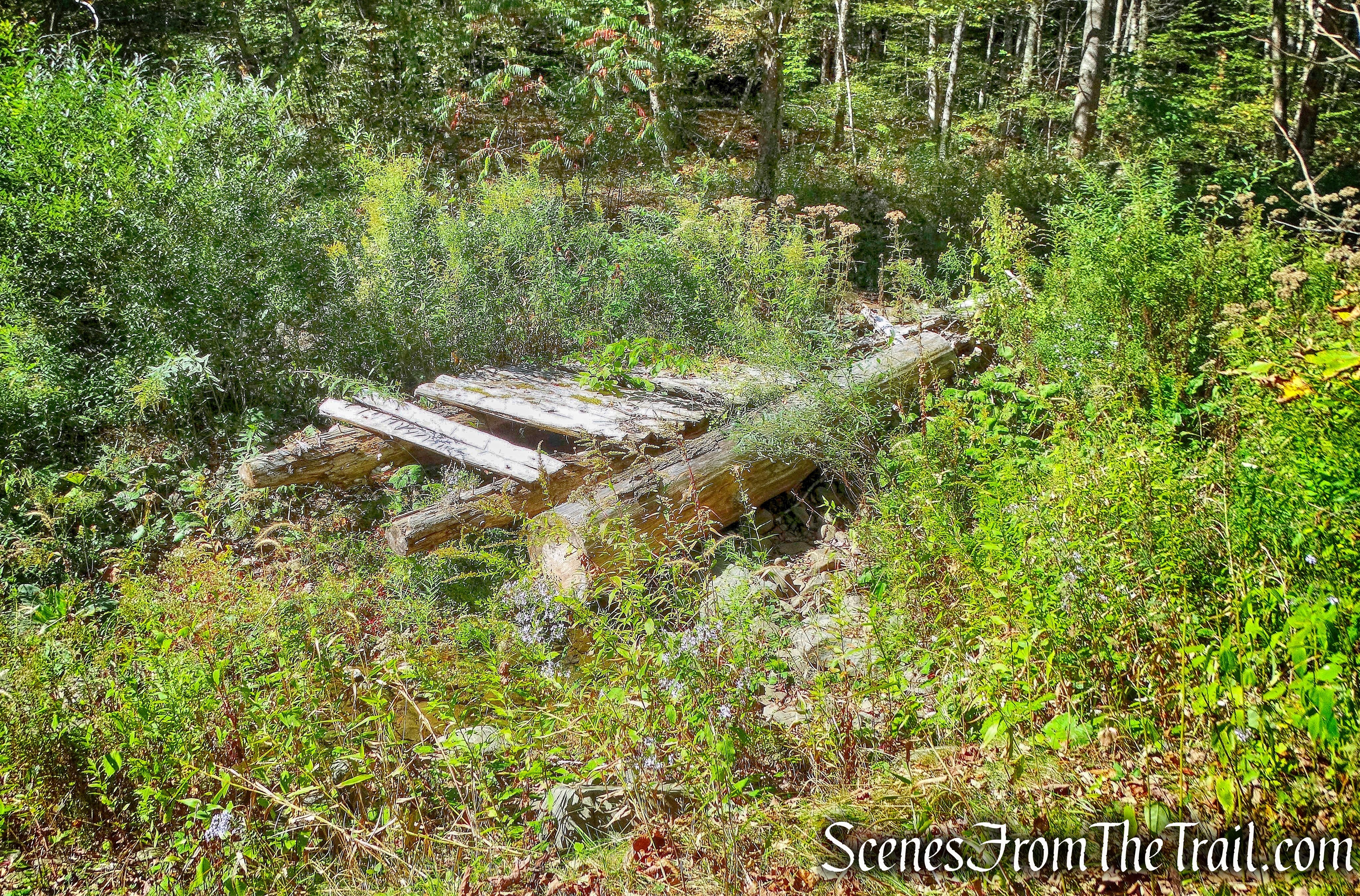 wooden bridge ruins - Bouchoux Brook Trail Extension