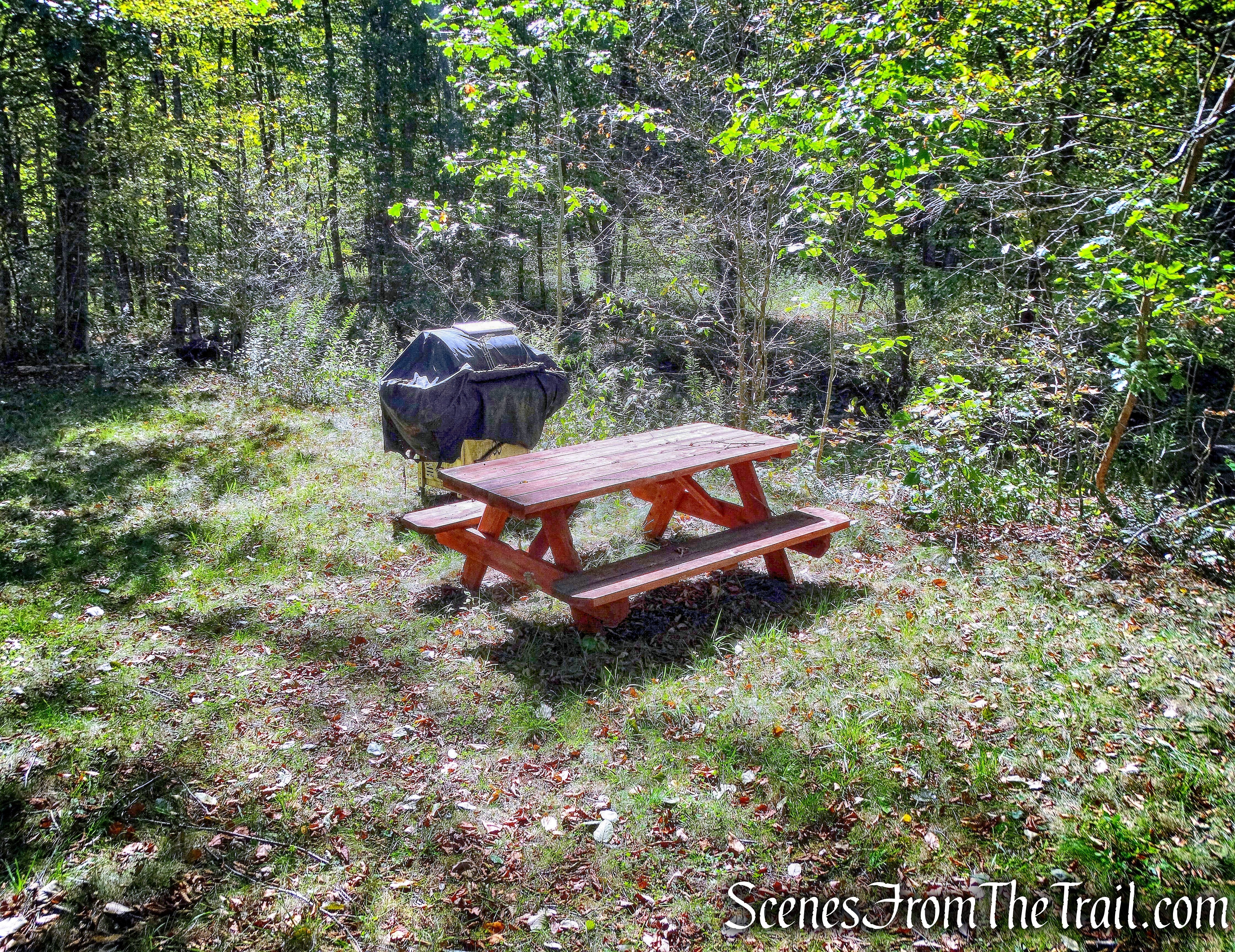 picnic table and a grill - Bouchoux Brook Trail Extension