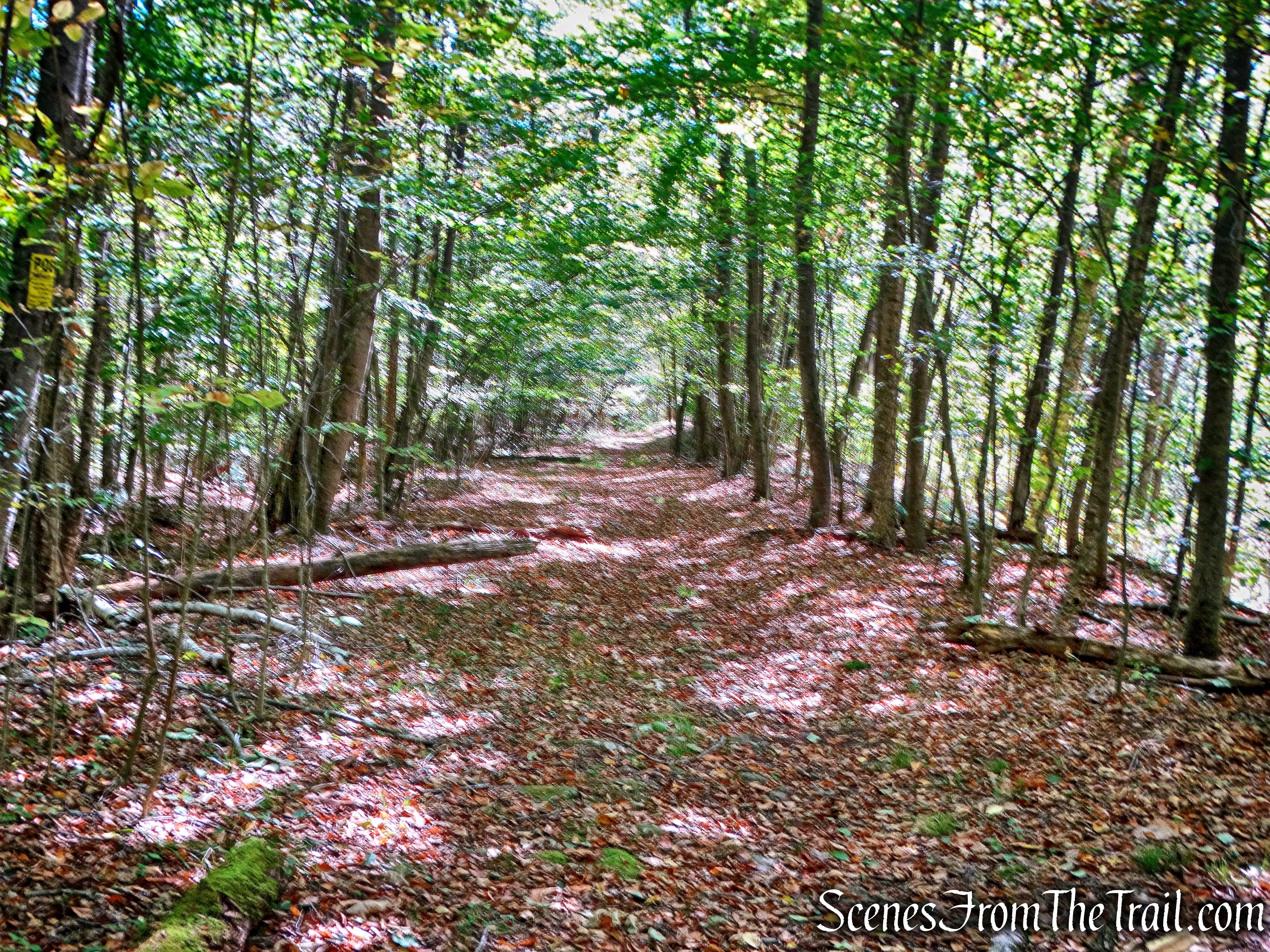 Bouchoux Brook Trail Extension
