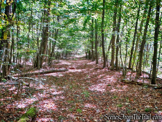 Bouchoux Brook Trail Extension