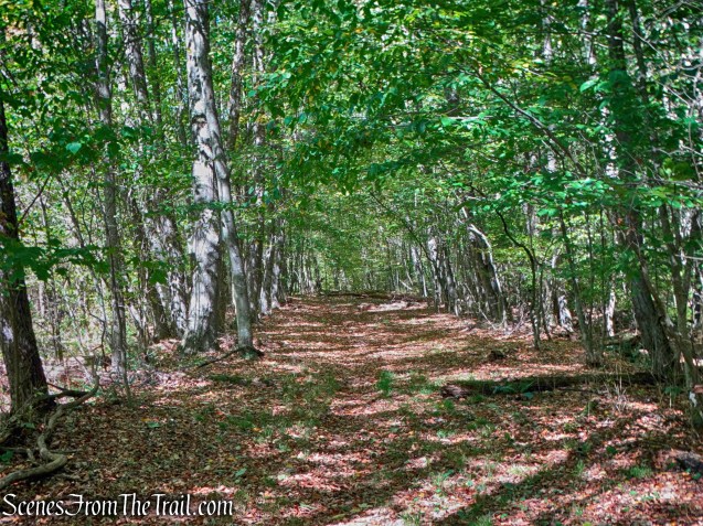 Bouchoux Brook Trail Extension