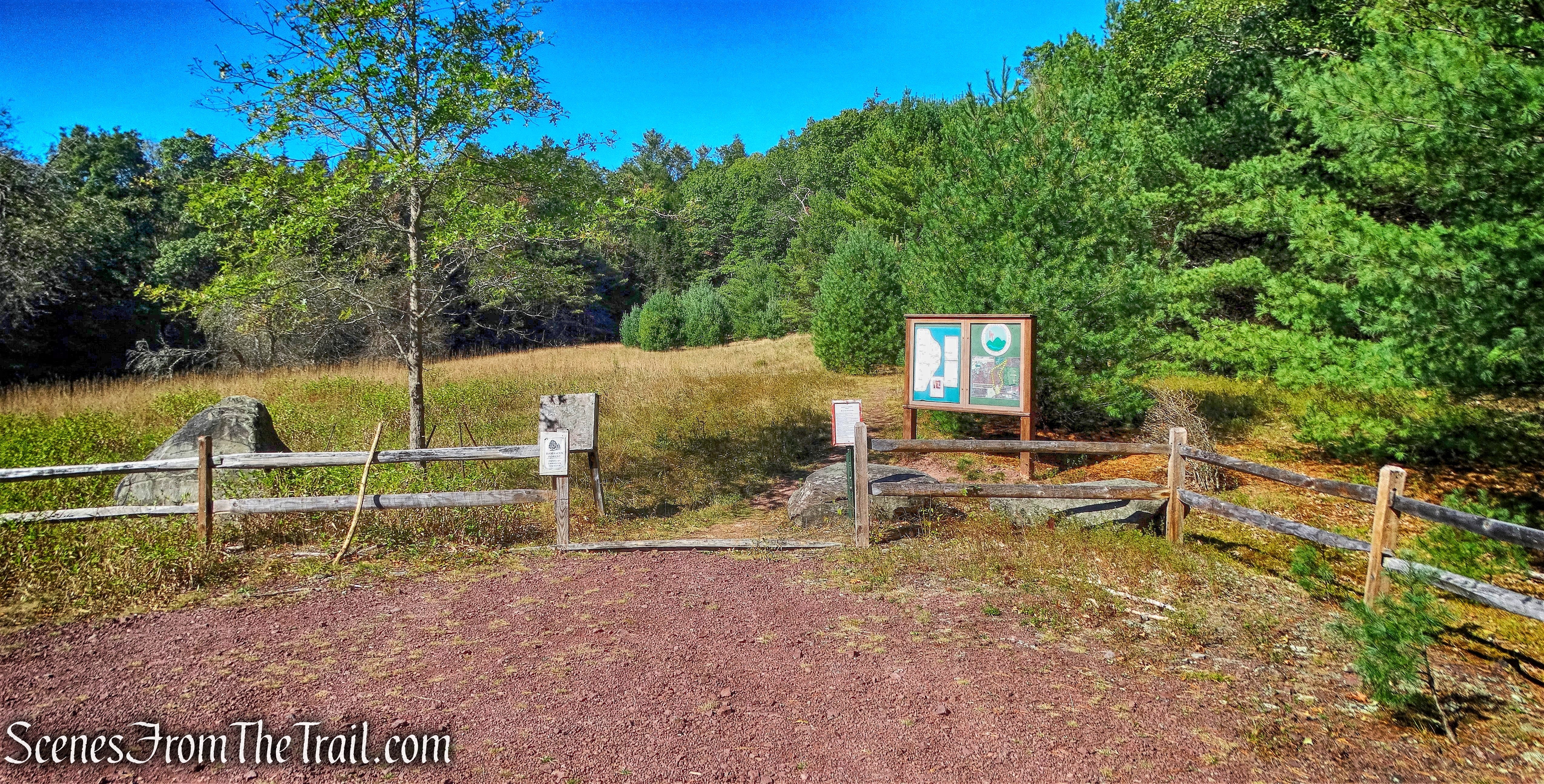 Damascus Forest Trail