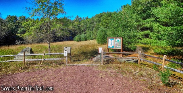 Damascus Forest Trail