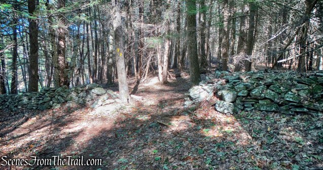 Damascus Forest Trail