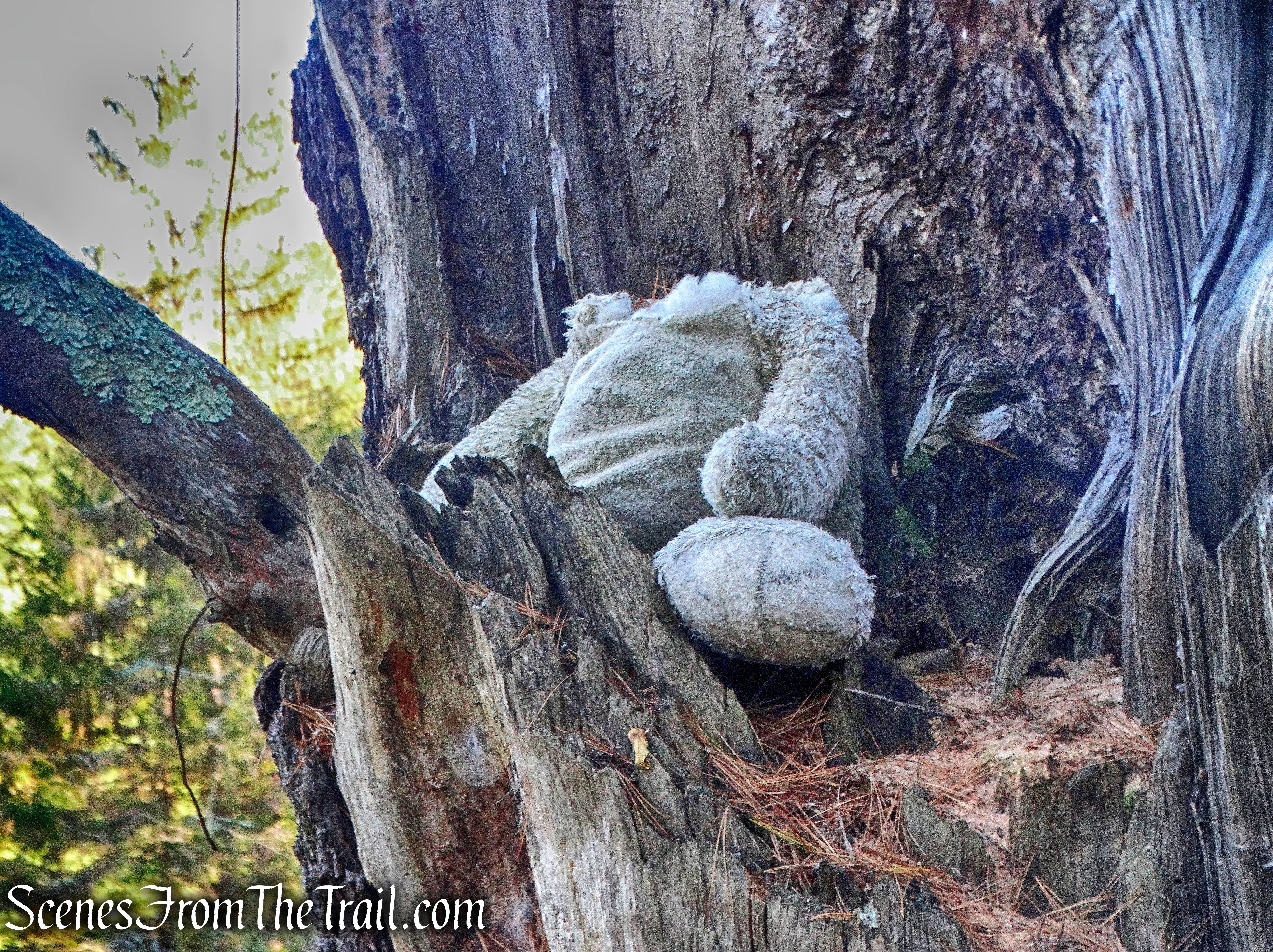 headless stuffed animal