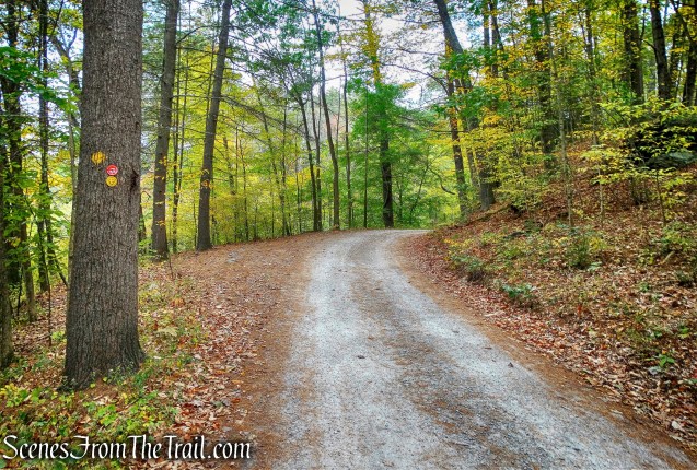 Ten Mile River/Tusten Mountain Trails