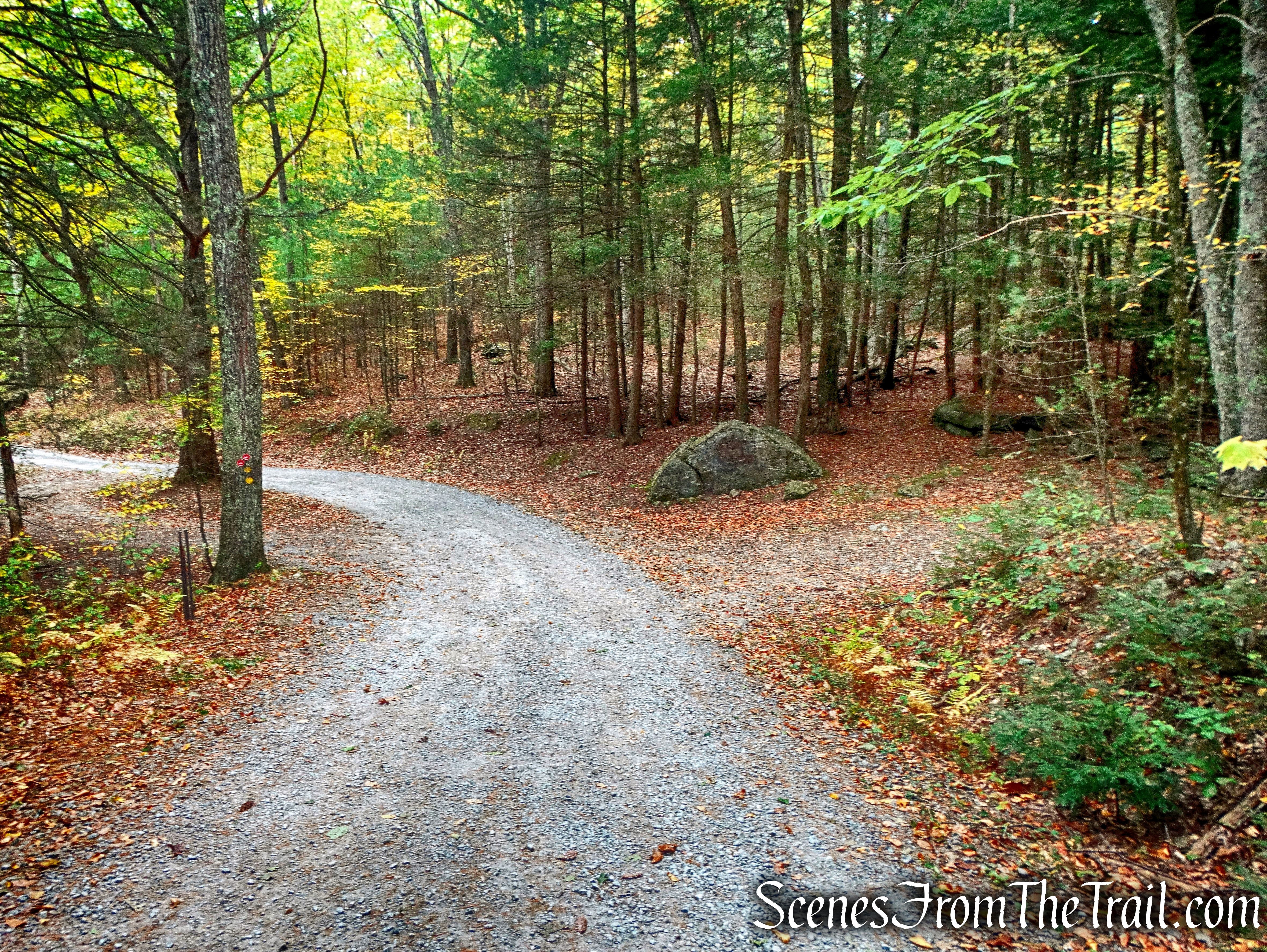 Tusten Mountain Trail turns right