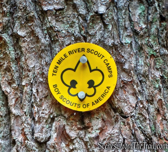 Yellow Boy Scout blaze - Tusten Mountain Trail