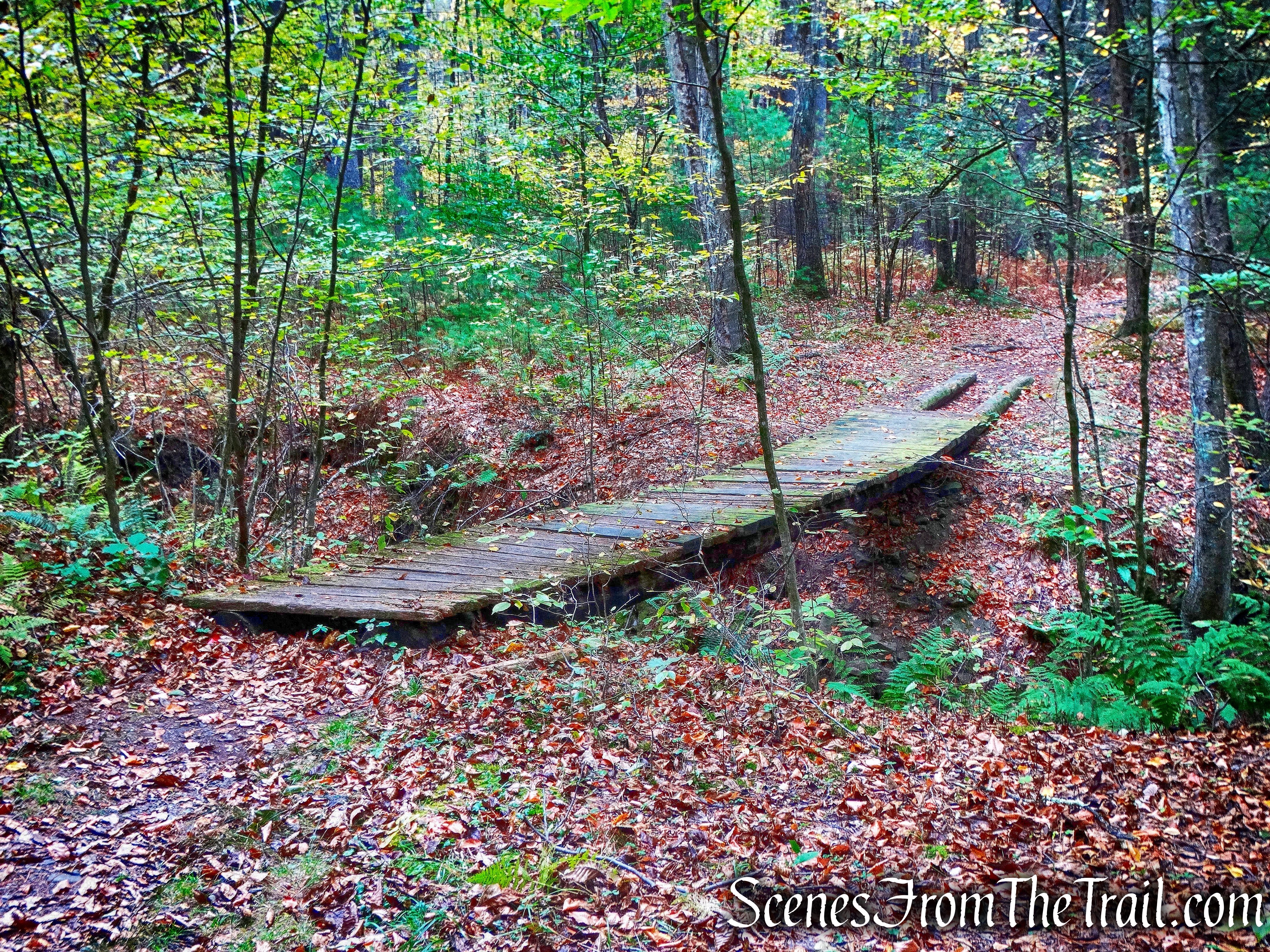 wooden footbridge