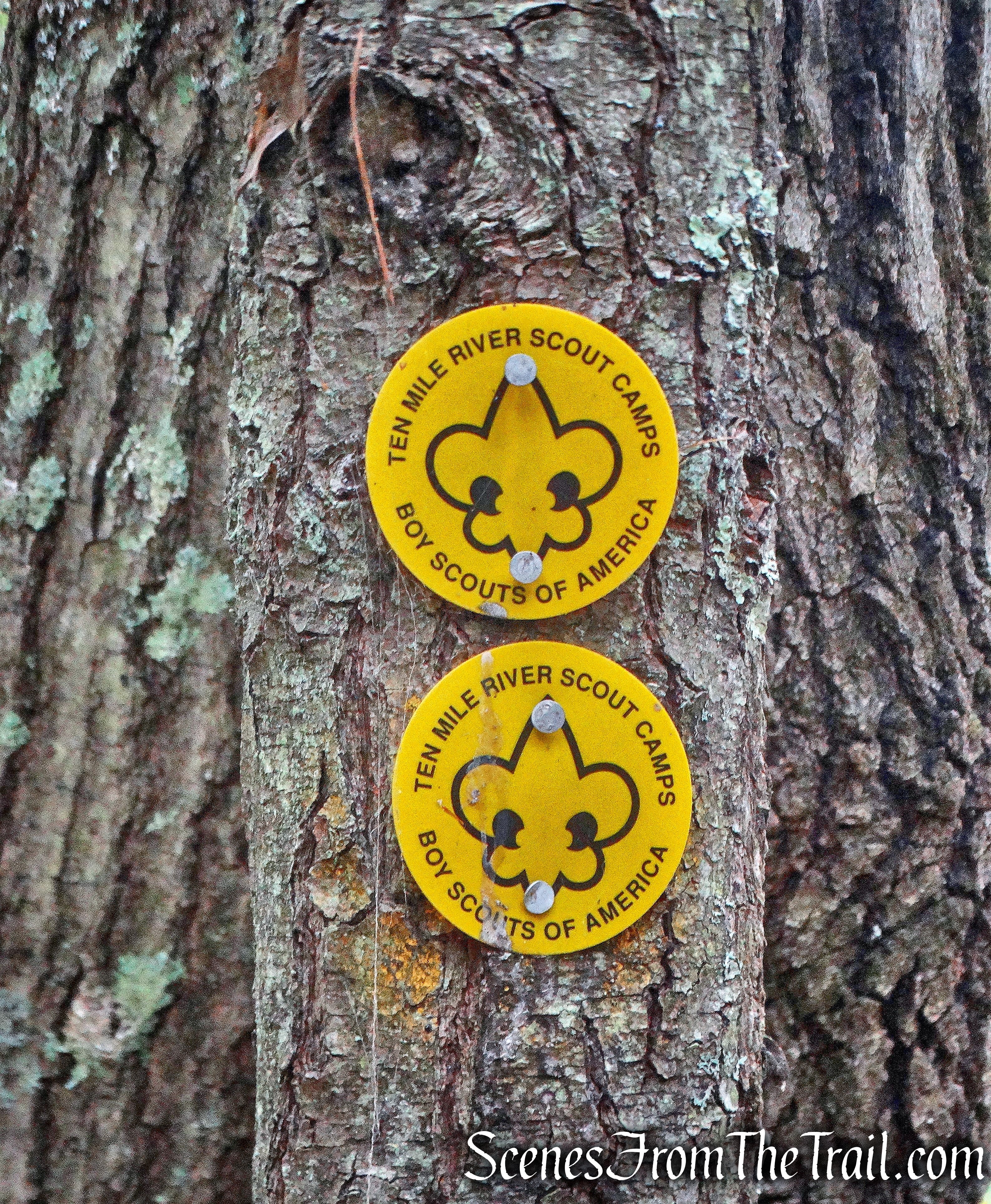 Tusten Mountain Trail