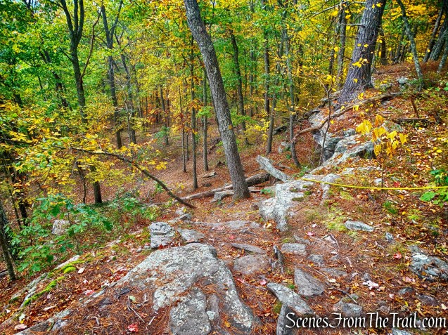 descent on Tusten Mountain Trail