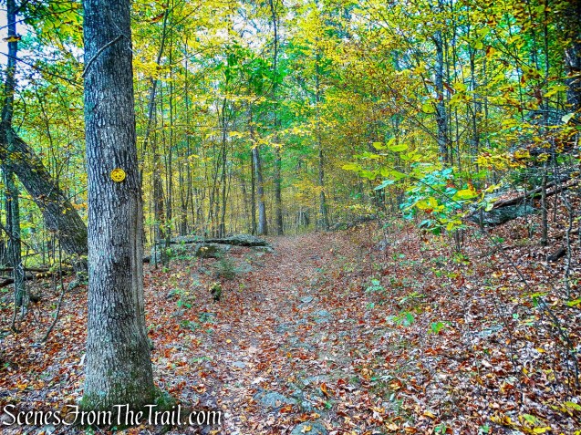 Tusten Mountain Trail
