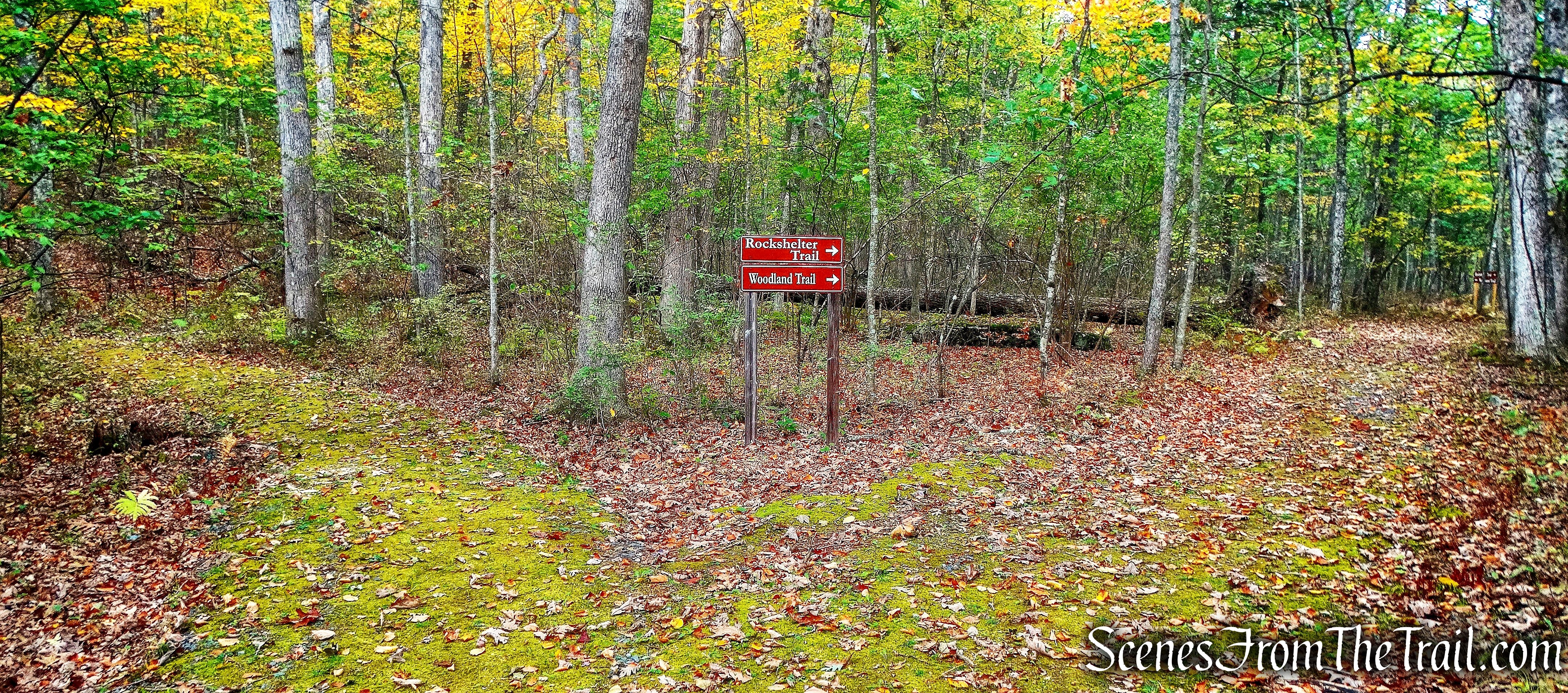 junction - Minisink Battleground Park