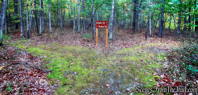 Turn right on Rockshelter Trail