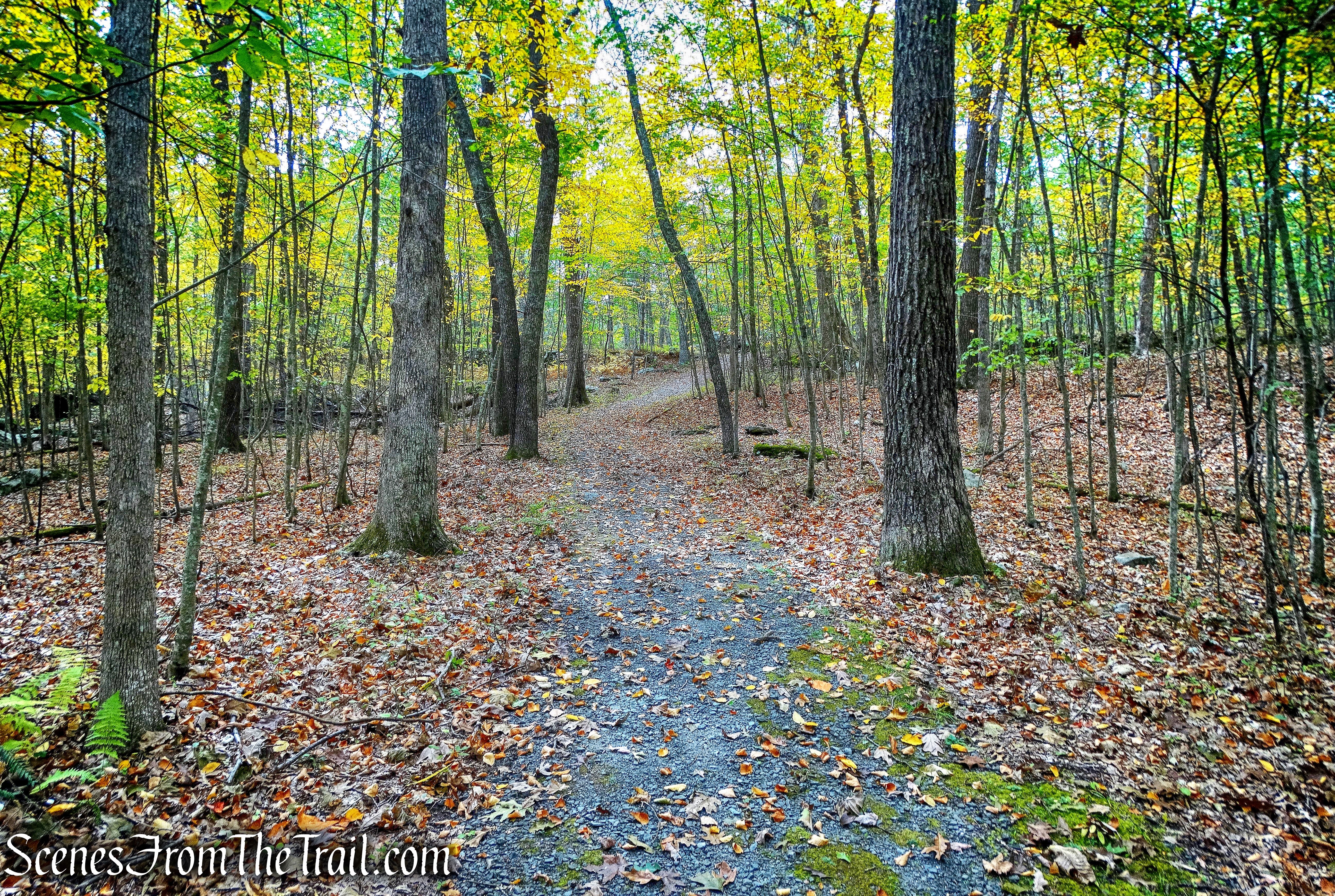 Battleground Trail