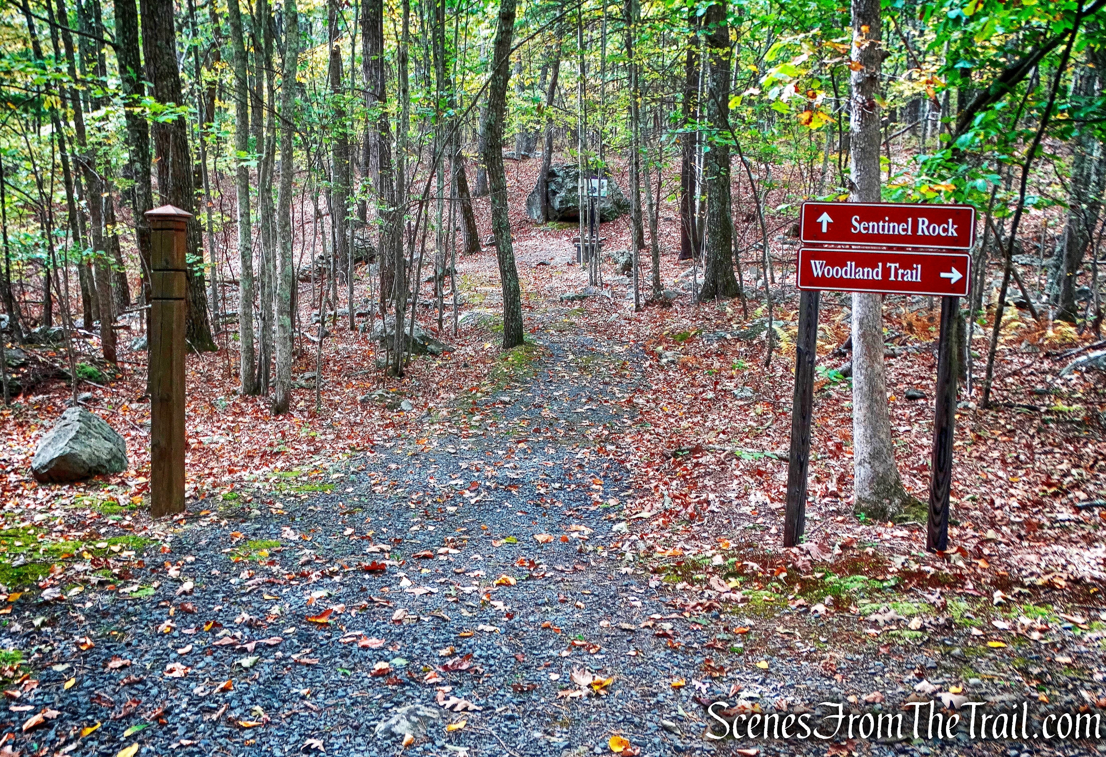 Heading towards Sentinel Rock
