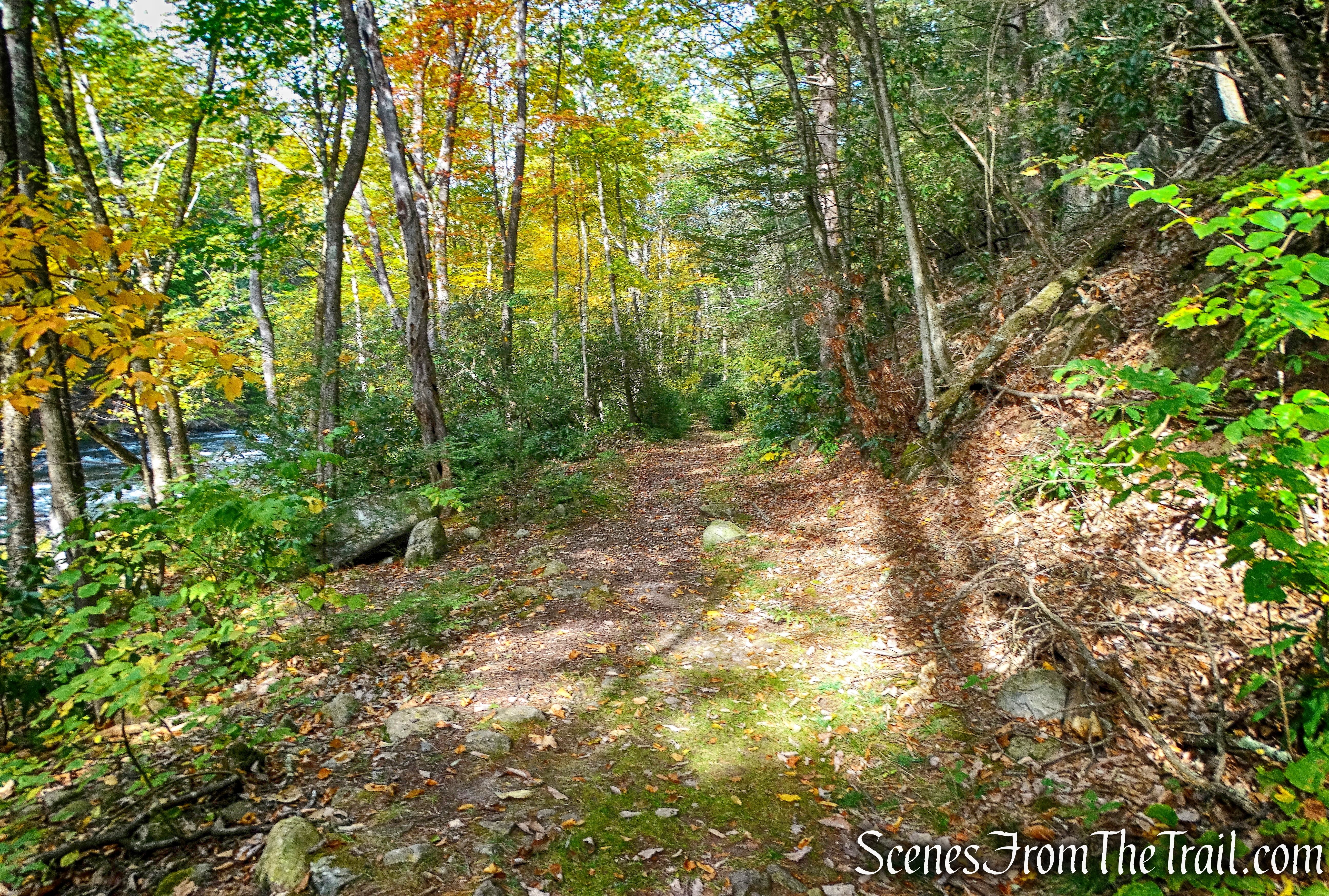 Mongaup River Trail