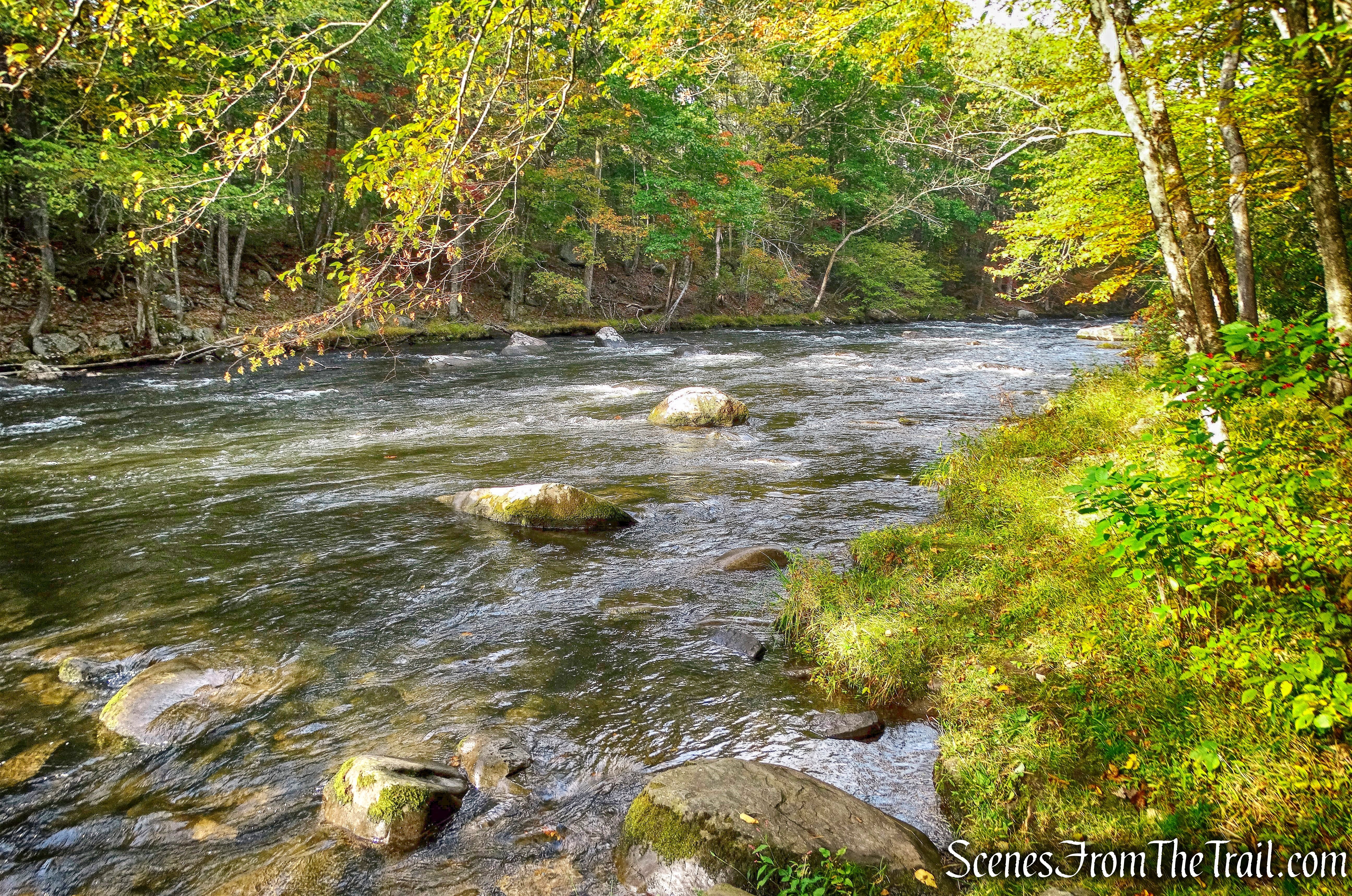 Mongaup River Trail