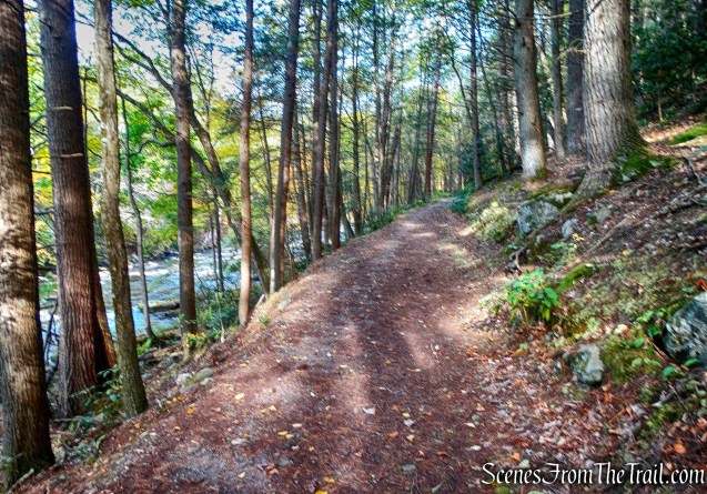 Mongaup River Trail