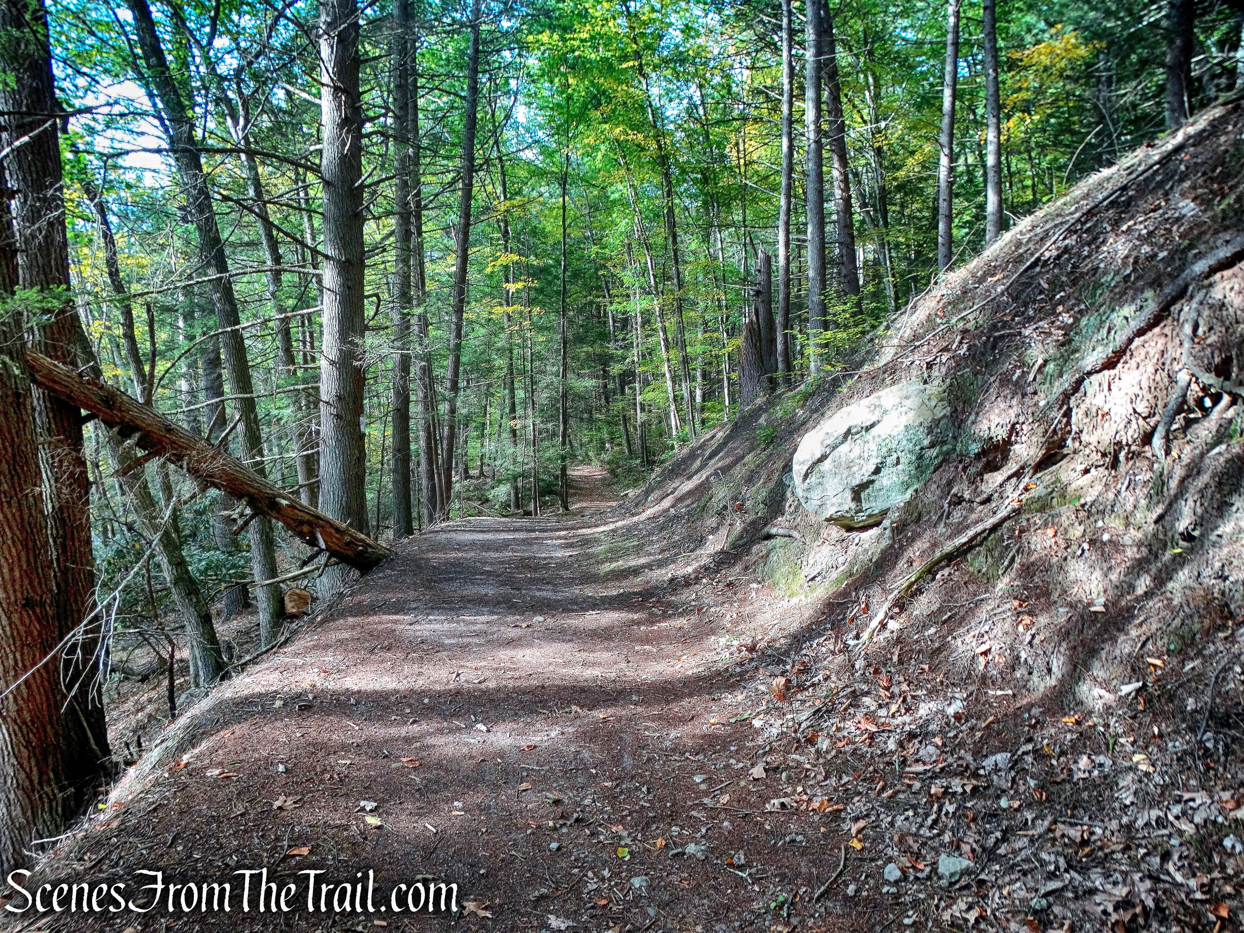 Mongaup River Trail