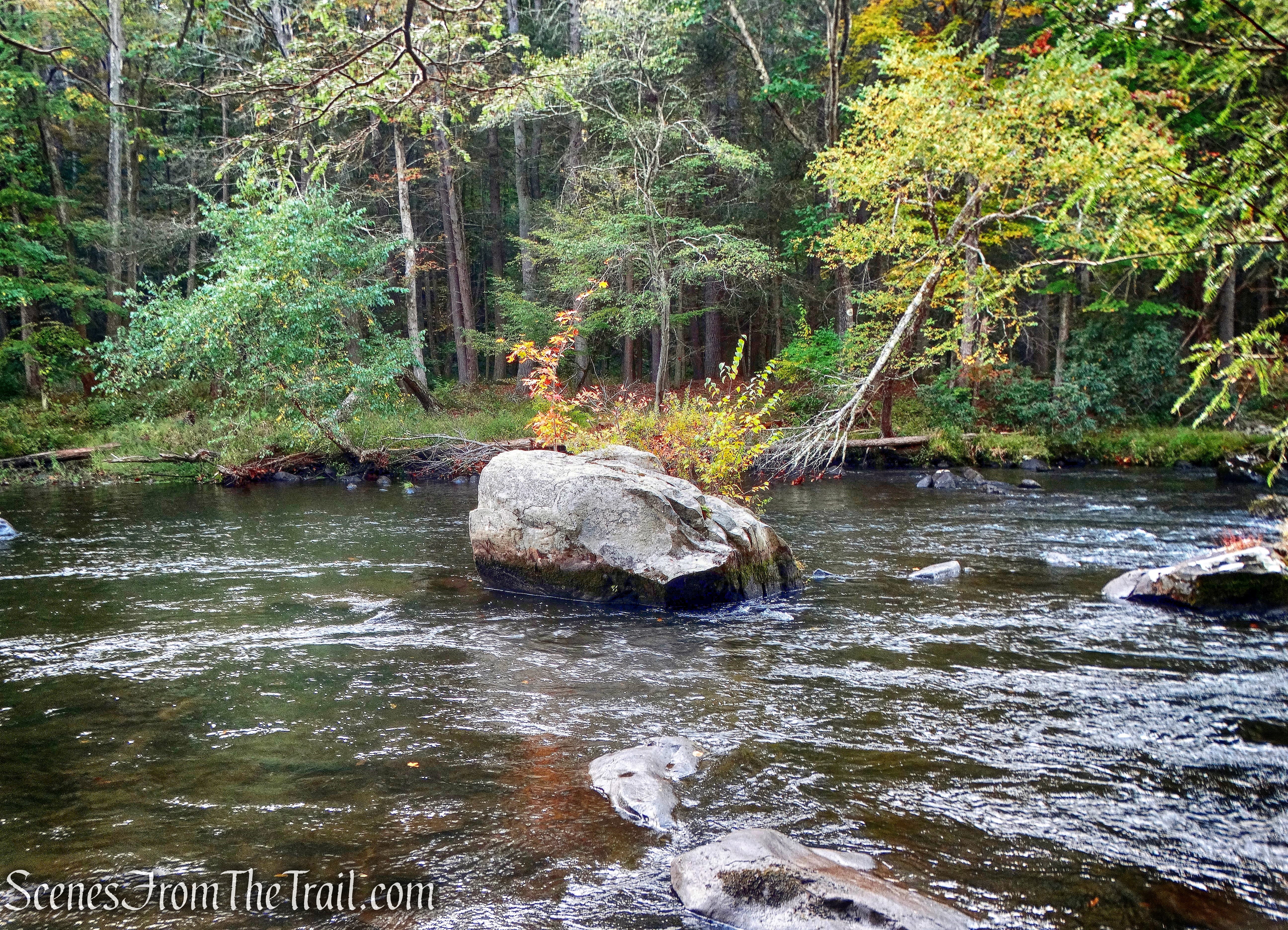 Mongaup River