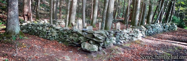 Knight Cemetery - Mongaup River Trail