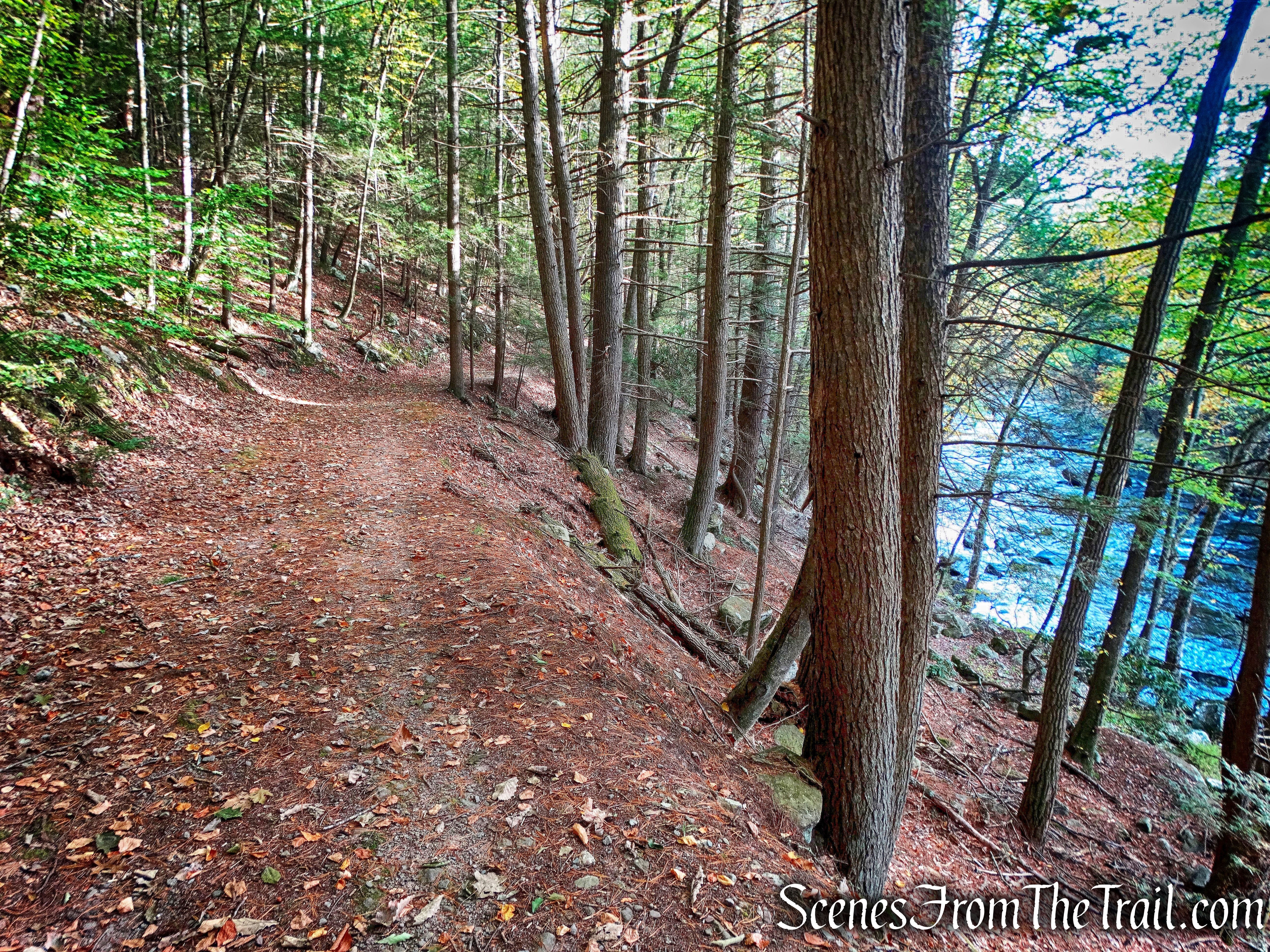 Mongaup River Trail