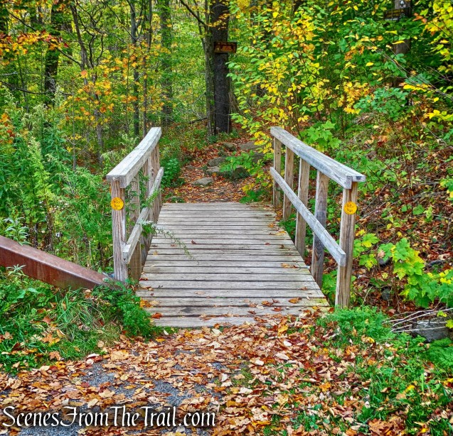 yellow-blazed Phoenicia-East Branch Trail