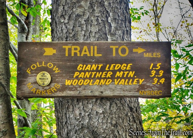 Phoenicia-East Branch Trail - Giant Ledge