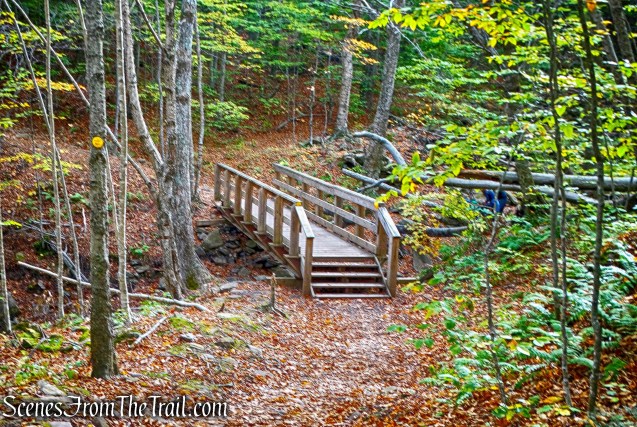 wooden footbridge - Phoenicia-East Branch Trail