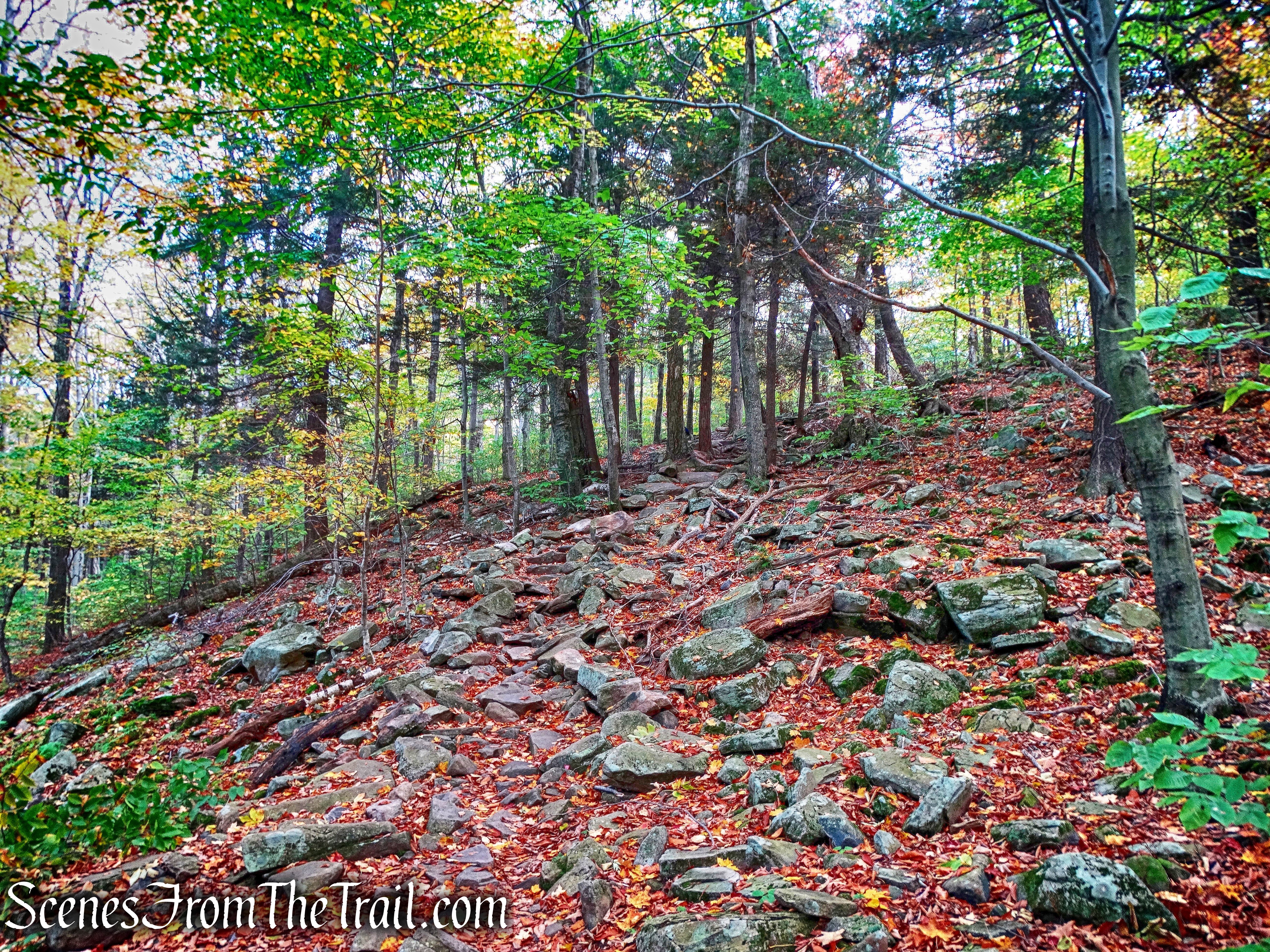 Phoenicia-East Branch Trail