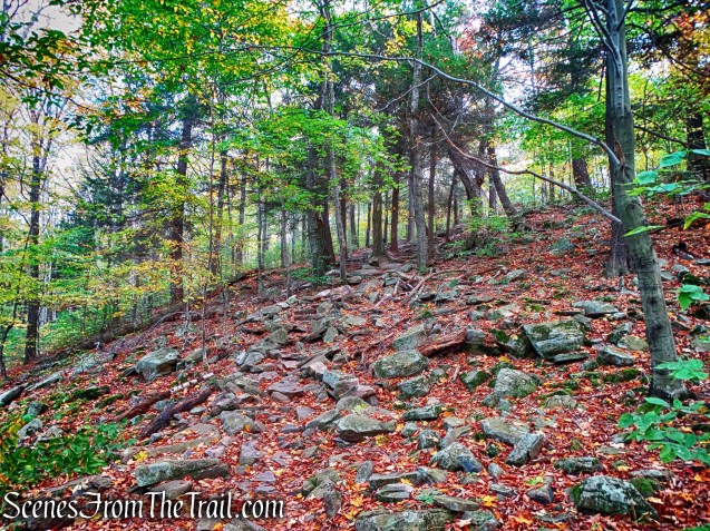 Phoenicia-East Branch Trail