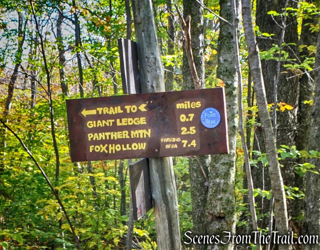 junction - Giant Ledge-Panther Mountain-Fox Hollow Trail