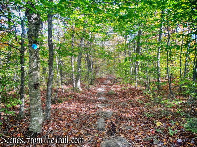 Giant Ledge-Panther Mountain-Fox Hollow Trail