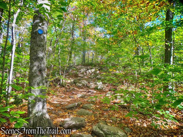 Giant Ledge-Panther Mountain-Fox Hollow Trail