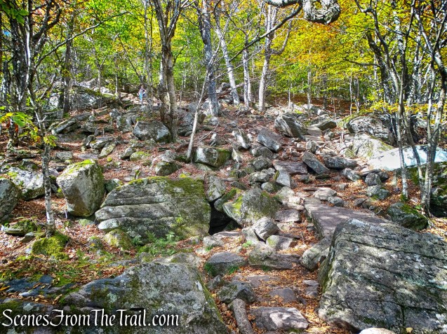 Giant Ledge-Panther Mountain-Fox Hollow Trail