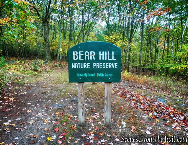 Bear Hill Nature Preserve