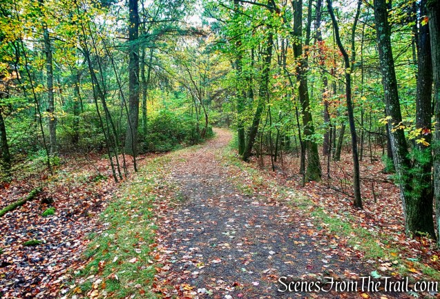 Main Trail - Bear Hill Nature Preserve