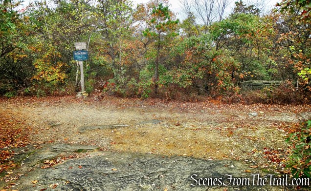 Main Trail terminus - Bear Hill Nature Preserve