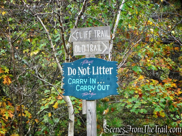 Left on Cliff Trail - Bear Hill Nature Preserve
