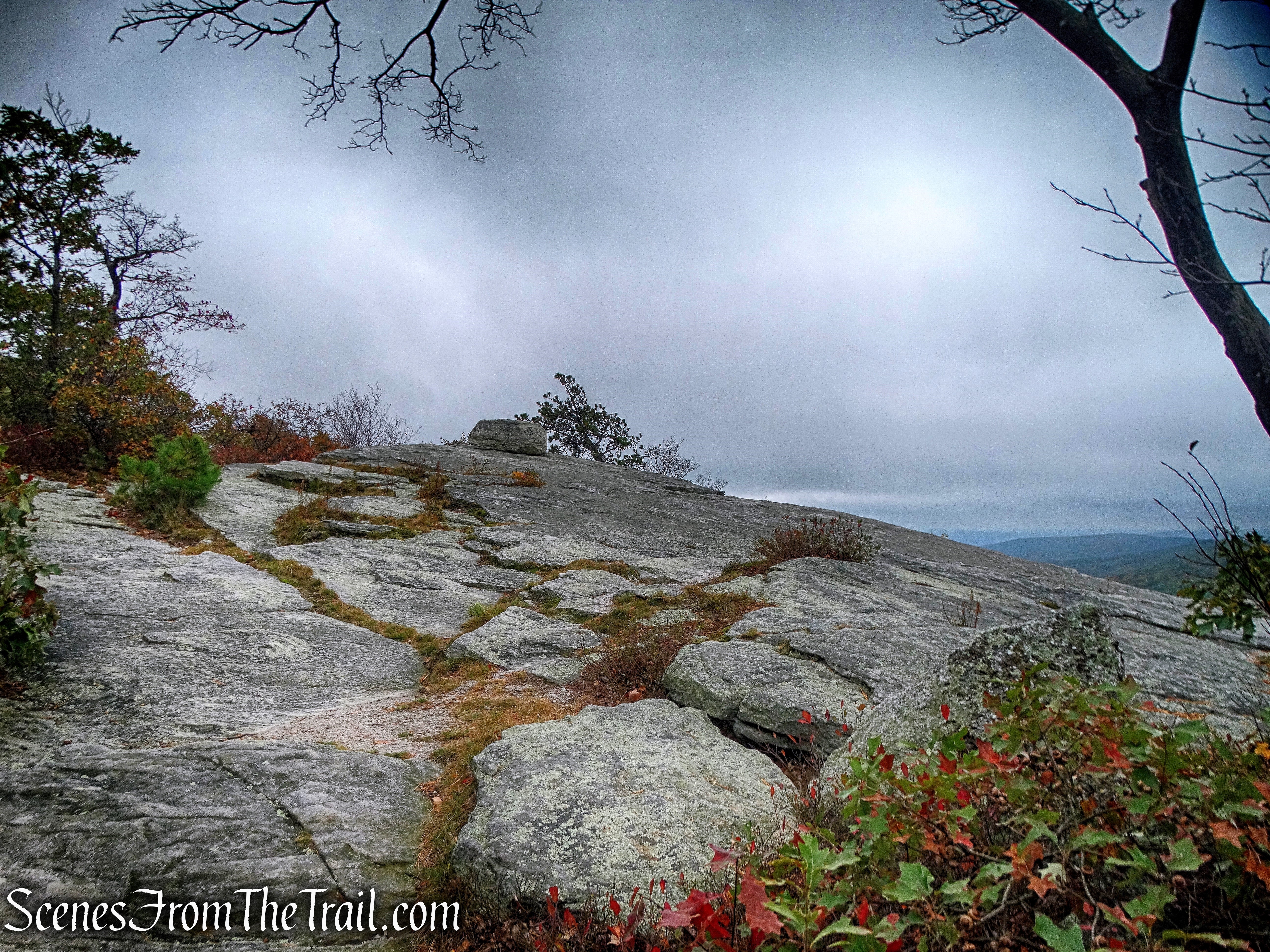 Cliff Trail - Bear Hill Nature Preserve