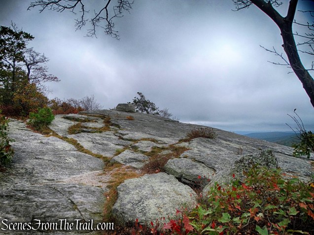 Cliff Trail - Bear Hill Nature Preserve