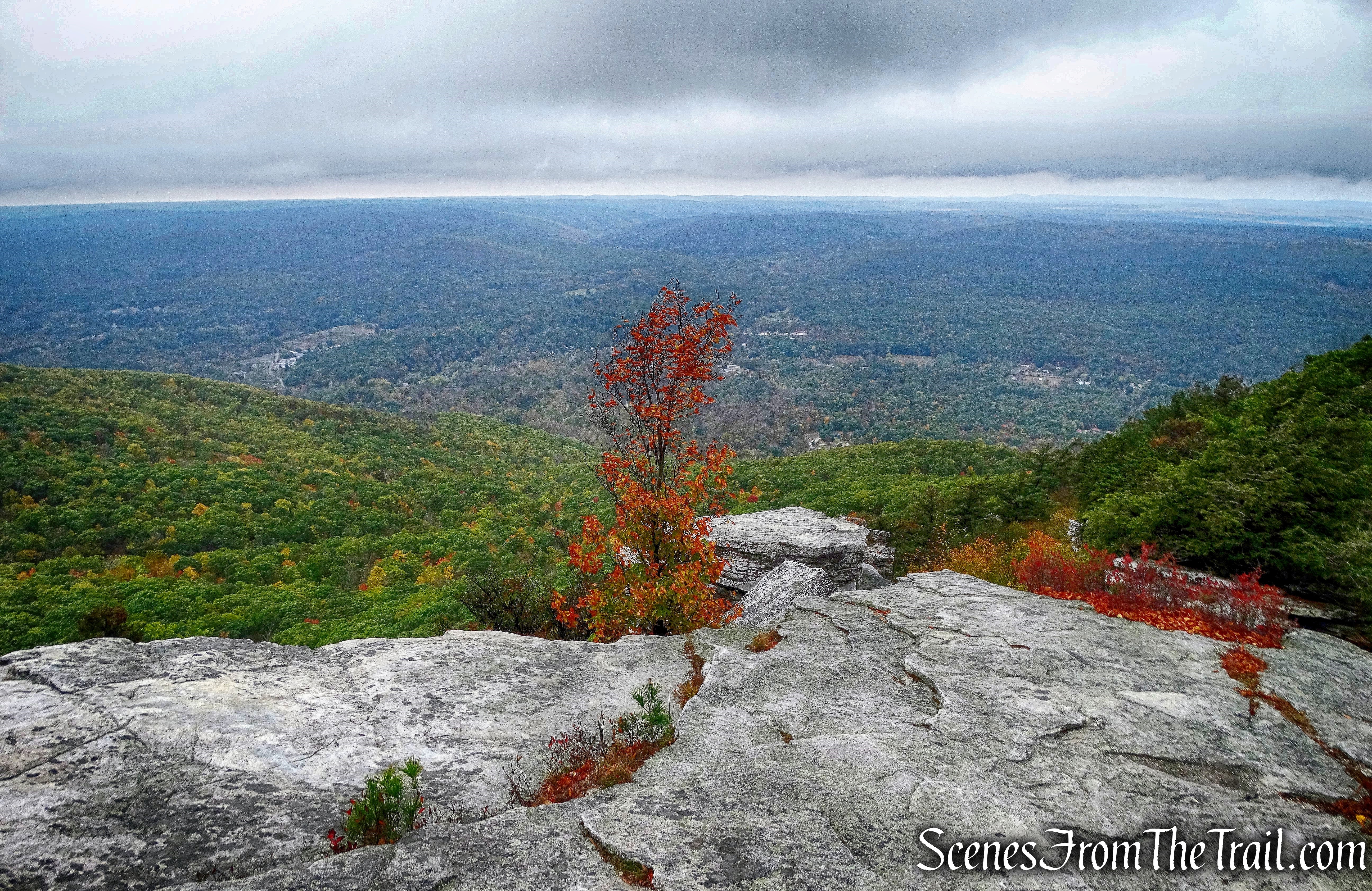 Bear Hill Nature Preserve