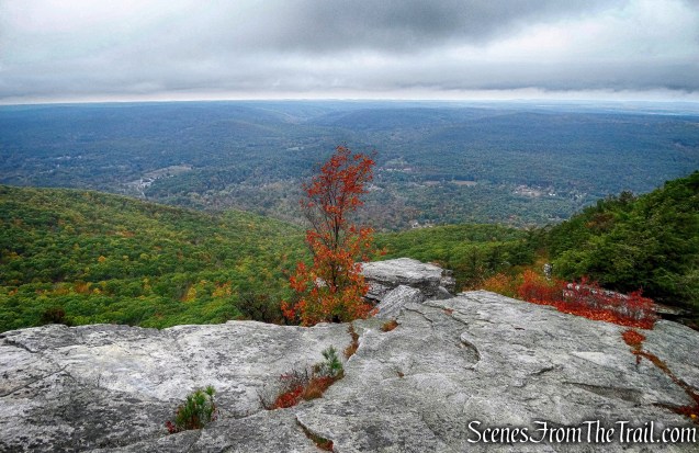 Bear Hill Nature Preserve