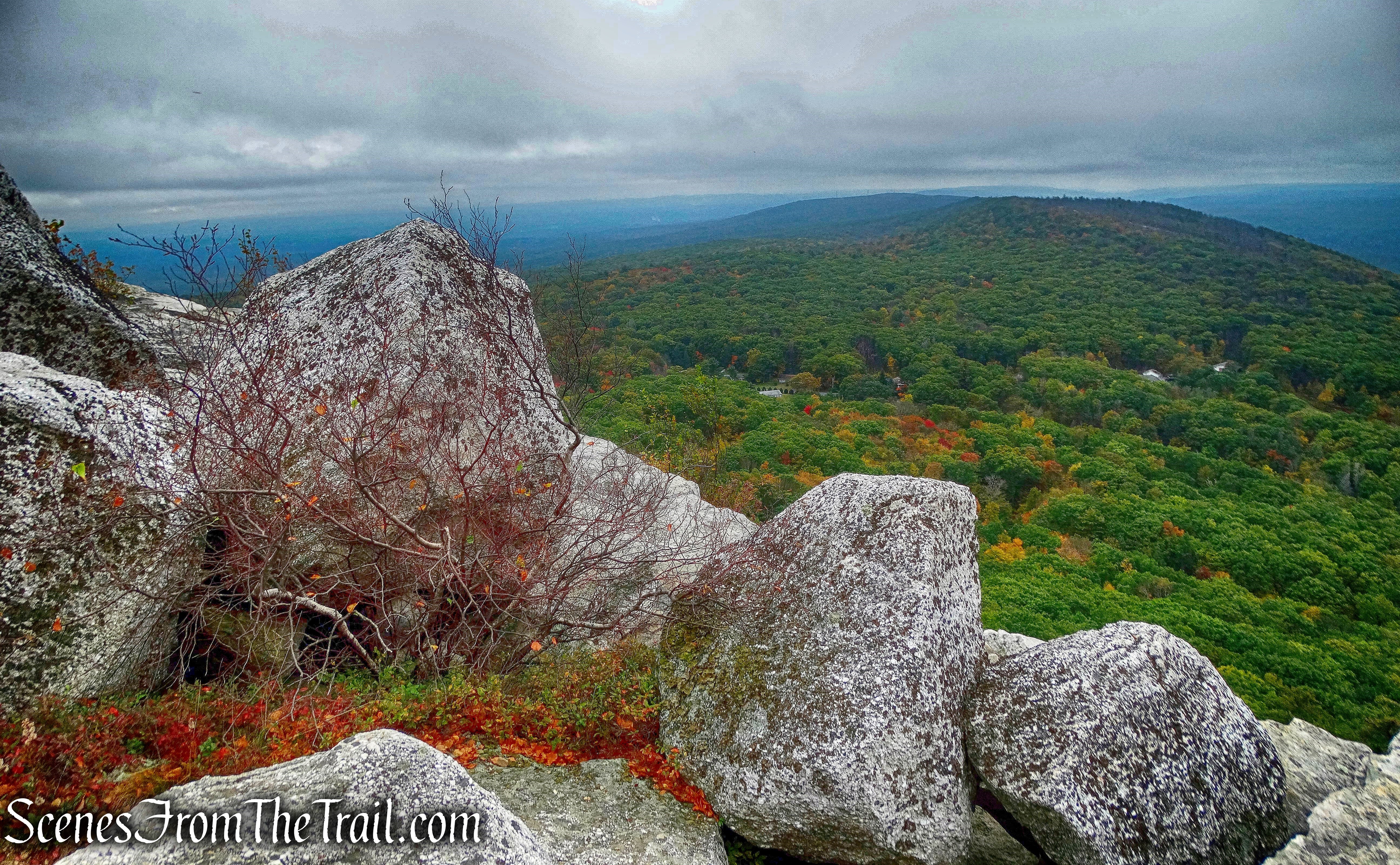 Bear Hill Nature Preserve